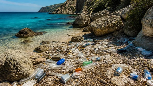 Las islas enfrentan desafíos únicos en la gestión de residuos. Analizamos por qué la sostenibilidad no es opcional en…